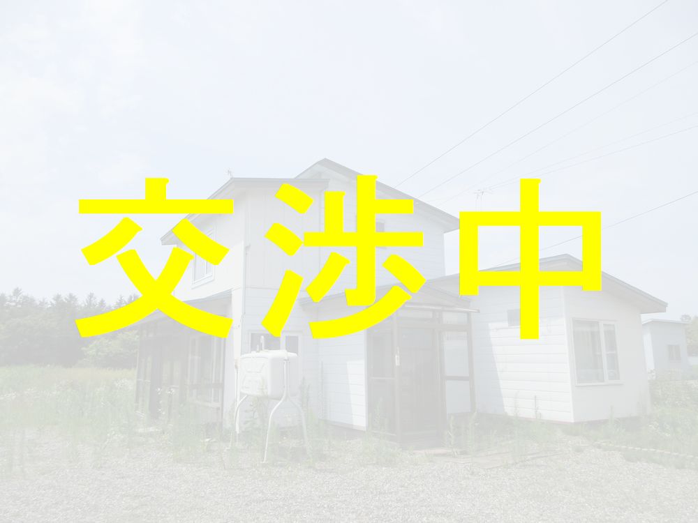 交渉中！ 交渉中💘まるで物言うようなハイジオット人形LittleOnesSUSI 30㎝ 